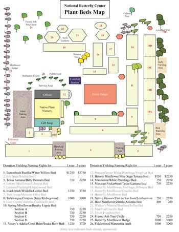 plant beds map small